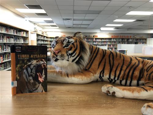 Tiger Reading 